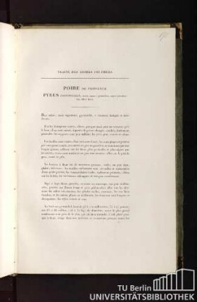 Traité des arbres fruitiers. Poire de provence. Pyrus provincialis, fructu magno, pyramidato, arguté punctato, hinc diluté luteo.
