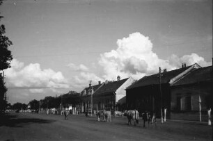 Lovrin: Dorfstraße mit Kuhherde