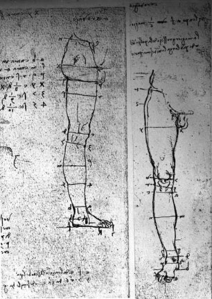 Proportionsstudien zu einem männlichen Bein aus dem Anatomical Manuscript C: 19136-19139 verso