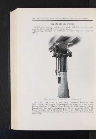 Lagerfeinde des Mehles.