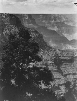 Canyon : Blick auf den Rand einer Schlucht von Maricopa aus gesehen