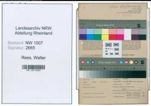 Entnazifizierung Walter Rees , geb. 08.06.1902 (Webereiinhaber)