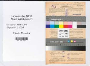 Entnazifizierung Theodor Nitsch, geb. 18.01.1908 (Angest.)