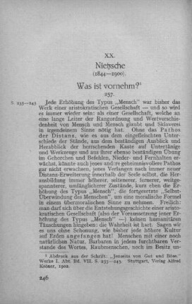 XX. Nietzsche