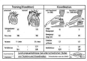 Leistungsverhältnisse bei unterschiedlichen Stufen von Training und Koordination (Koordination nach de Jong)