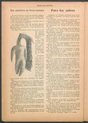 Una zanahoria de forma humana