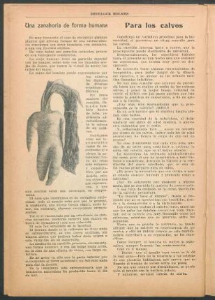 Una zanahoria de forma humana