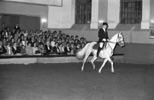 "Festabende klassischer Reitkunst" beim Reitinstitut von Neindorff