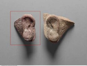 Fragment eines rechten Ohres einer Statue