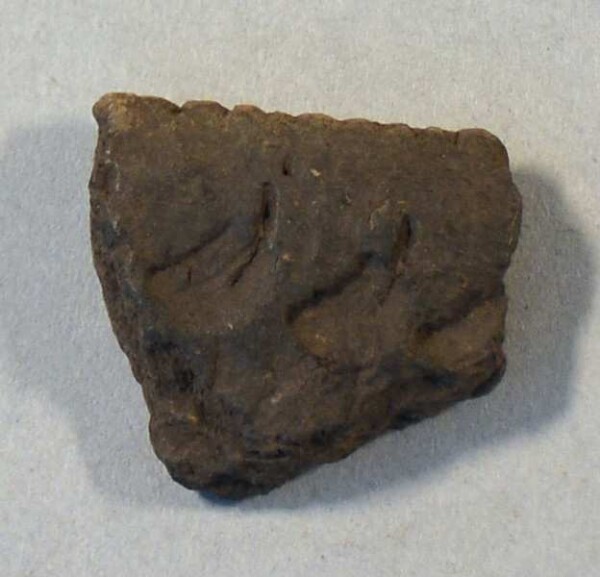 Fragment of a vessel