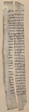 Breviarium in psalmos - BSB Clm 29404(14