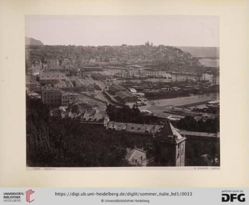 No. 12341 Genova