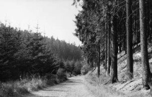 Wilsdruff-Grund. Weg an der Triebisch kurz vor Wüstarabien, wenn man von den Triebischwiesen kommt