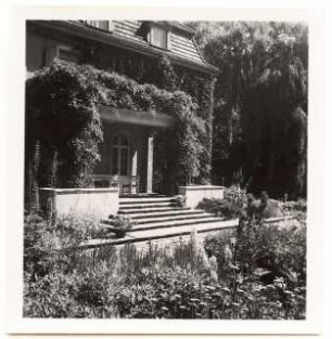 Garten Dr. Voss: Terrasse Sommergarten