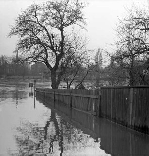 Dresden-Loschwitz. Elbehochwasser Frühjahr 1988. Friedrich-Wieck-Straße