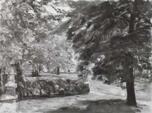 Parklandschaft