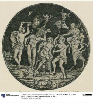 Verehrung der Venus (Omaggio a Venere)