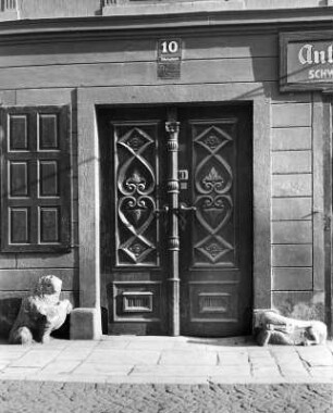Klagenfurt, Völkermarkterstraße 10. Wohnhaus (um 1860). Portal mit zwei Löwen als Portalwächter