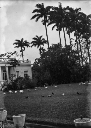 In Santos : Gebäude in Santos.