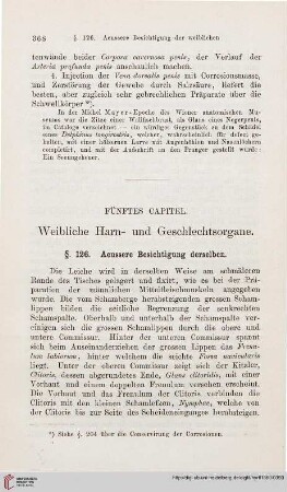 Fünftes Capitel: Weibliche Harn- und Geschlechtsorgane