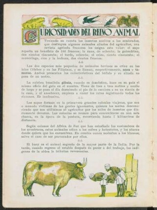 Curiosidades del reino animal