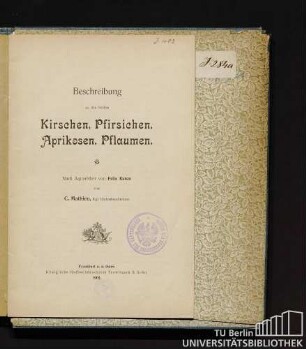 Die besten Kirschen, Pfirsiche, Aprikosen, Pflaumen