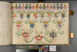 Proband: Westrem, Xerxes Dietrich von; Vater: Westrem, [Winold] von; Mutter: Ovelacker, [Elisabeth] von: Westfalen, Hzgtm, Ritterschaft