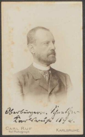 Schnetzler, Karl, Nationalliberale