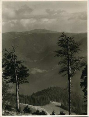 Im Hochschwarzwald