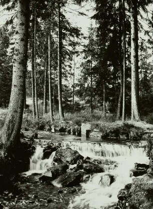Wasserversorgung, Wehr des Röhrengrabens im Greifenbach