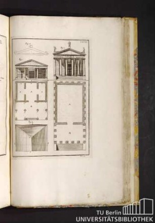 Tav. VIII.