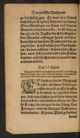 Das LI. Capitel.