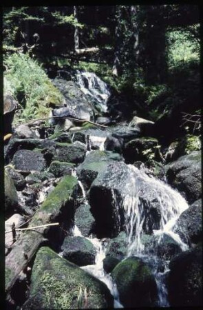 Lac de Fischboedle