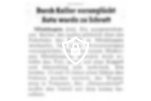 Durch Keiler verunglückt - Auto wurde zu Schrott