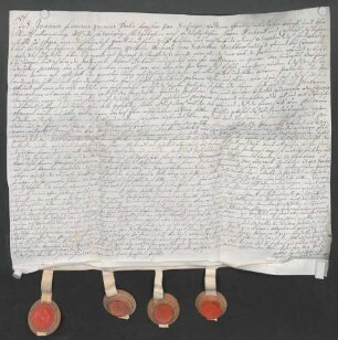 Instrumentum cautionis des Johann Franz Xaver von Sickingen-Hohenburg.