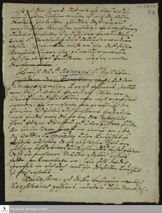 Auszug des Tagebuchs von Jacob Klein, Christoph Samuel John und Johann Peter Rottler.