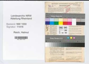 Entnazifizierung Helmut Reich, geb. 16.10.1890 (Kaufmann)