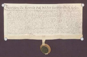 Jakob Jockers zu Kork verkauft der fürstlichen Rentkammer 2/3 seines Hausplatzes um 233 fl. 3 Schillinge 4 Pfennige