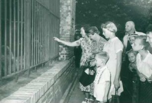 Bärentaufe im Zoo. Die Taufpaten