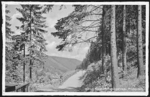 Kipsdorf. Promenade