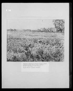 Wiese bei Arles