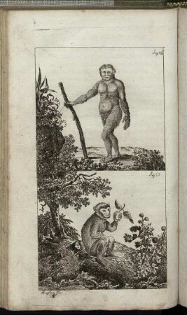 Fig. 26. - Fig. 27.