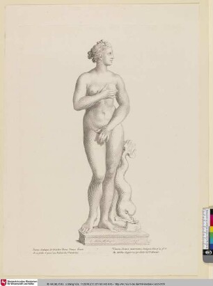 [Antike Statue der Venus]