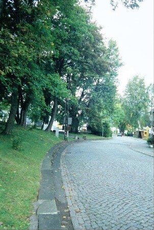 Blick entlang der gepflasterten Hauptstraße, links Park, rechts Bushaltestelle