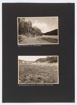 Referenzmappe 3/17 des Fotografen Walter Möbius : Mappenblatt 5 mit zwei Fotografien (Polenztal bei Heselicht und Märzenbecherwiesean der Bockmühle im Polenztal)