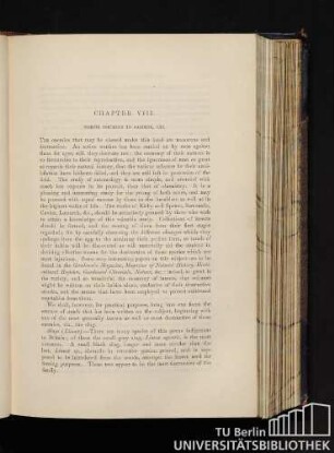 Chapter VIII. Insects Injurious To Gardens, Etc.