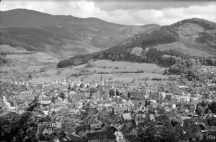 Waldkirch: Blick auf Waldkirch