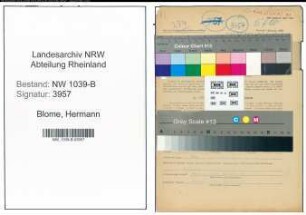 Entnazifizierung Hermann Blome , geb. 18.02.1910 (Angestellter)
