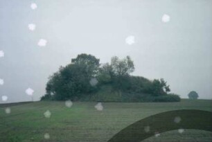 Sühlen: Grabhügel "Grabenberg" [Denkmalbuch Nr. 3]: auf Acker