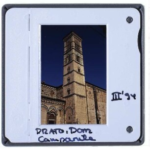Prato, Dom